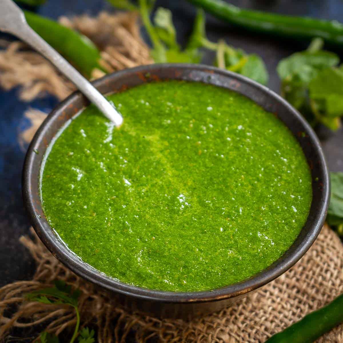 Easy Indian Green Chutney Recipe (Cilantro Mint Chutney) + Video